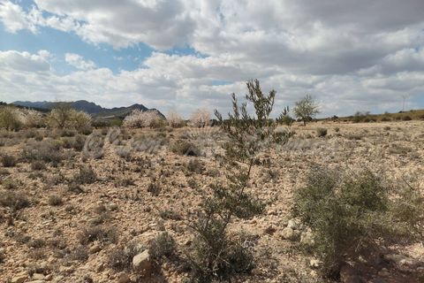Helårsgrund i Caudete, Albacete, Caudete - € 35.000 | Ref: SF0388 - foto 7